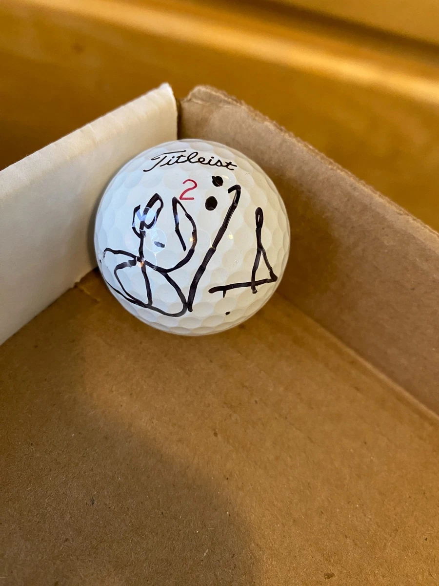 2004 UD Jesper Parnevik マーカー　直筆サイン Jesper Parnevik PGA Autographed Items for sale | eBay