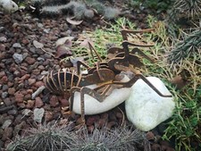 Edelrost Stahl  Garten Deko Ameise Insekt Tier  Metall