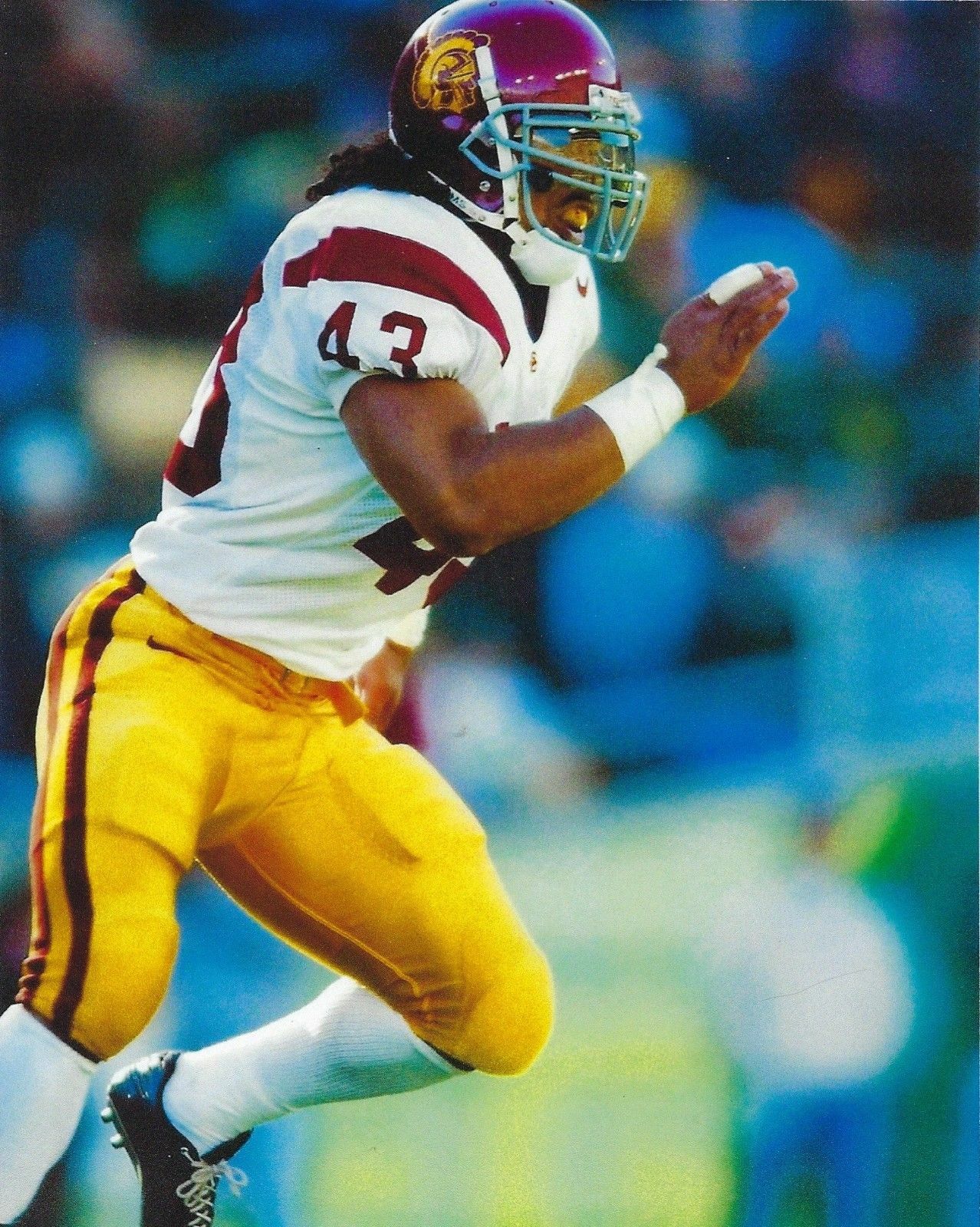 Troy Polamalu Running 8x10 Picture Celebrity Print