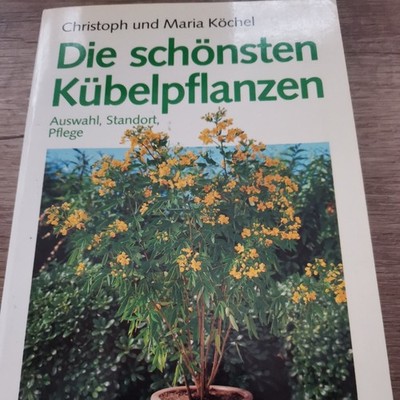 3c- BLV KÖCHEL : DIE SCHÖNSTEN KÜBELPFLANZEN     332