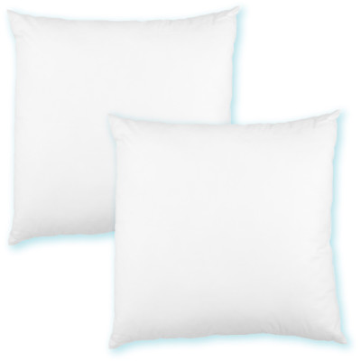 Kissenfüllung 30x30 Polyester Premium 2er Pack Füllkissen Sofakissen Bettkissen