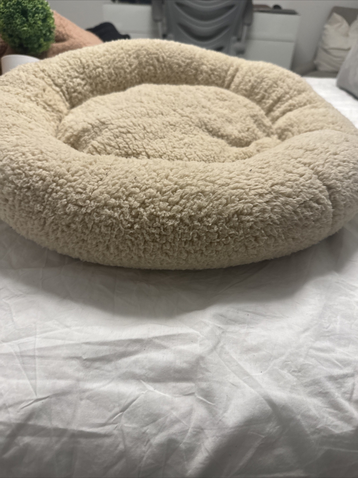 Aldi Dog Bed eBay