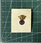 WW2 US Military Rare Ruptured Duck Screw Back With 15 AF Tab