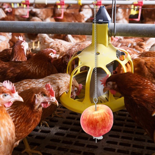 Unders Feeder Futter Trog Hühner Lebensmittel Halter Huhn Gemüse Hängen Feeder - Bild 7 von 11
