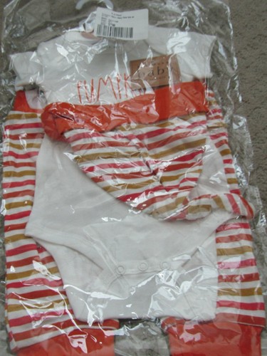 Rae Dunn Baby Body Suit. pumpkin spice baby   6-9 Months. NEW