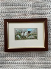 Cash's of Coventry woven silk picture. German shorthaired Pointer. VGC.