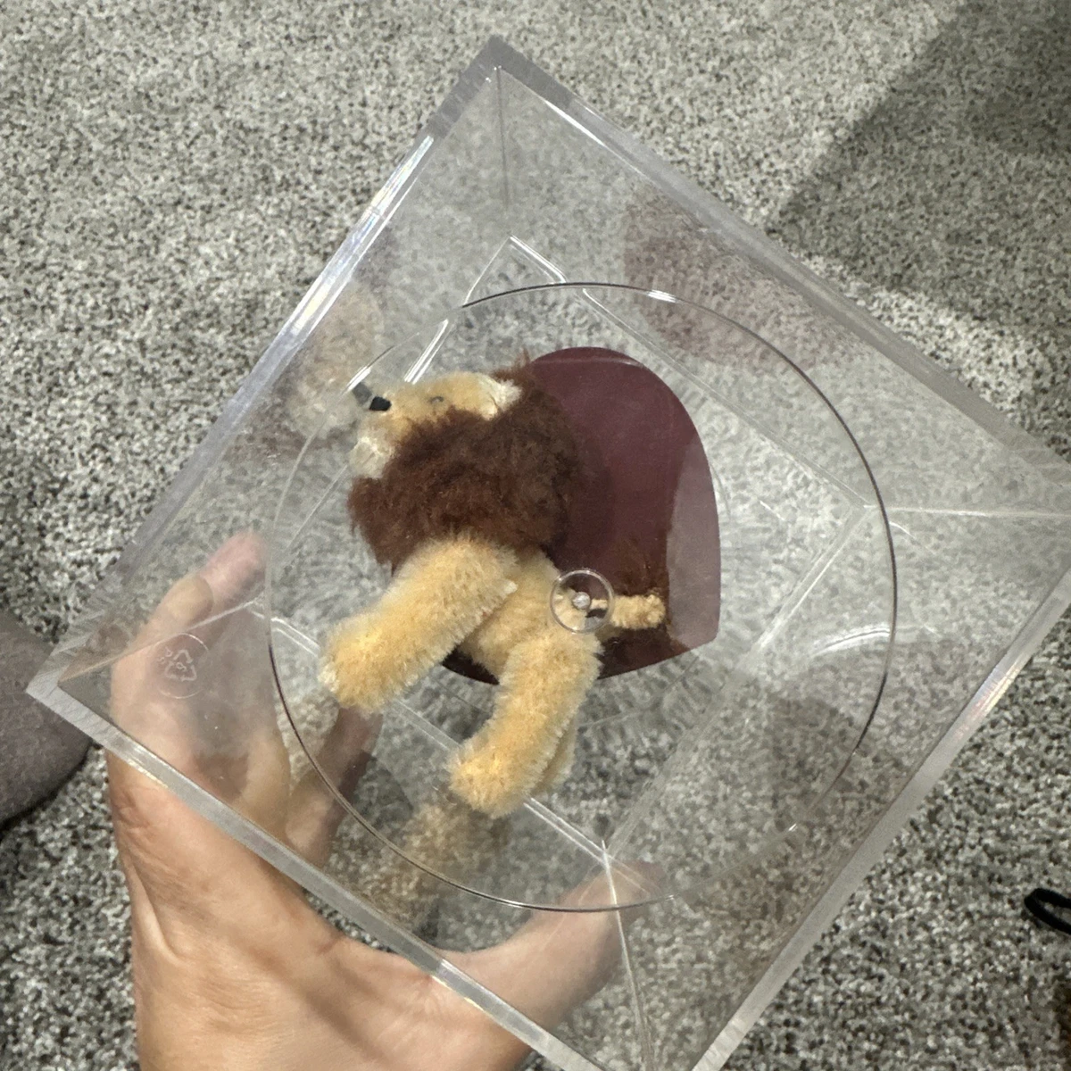 World Of Miniature Bears for sale | eBay