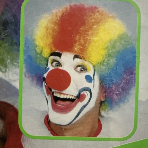Rubies Rainbow Hair Clown Wig Adult One Size Fits All New - Picture 3 of 4