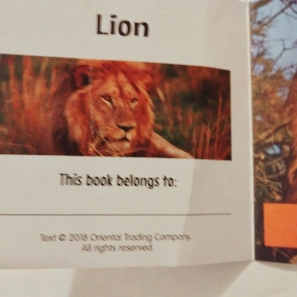 Learn365 African Animals Lion Educational Mini Book Kids - Image 3 of 4