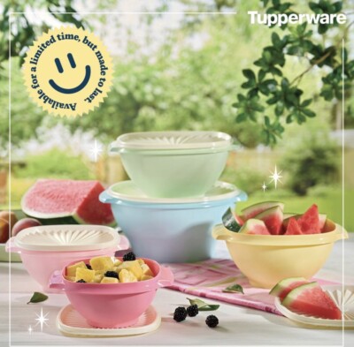 New Retro Mrs. Maisel Tupperware Servalier Bowls - Set of Five