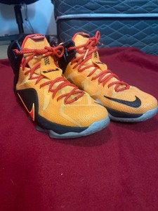 lebron 12 witness