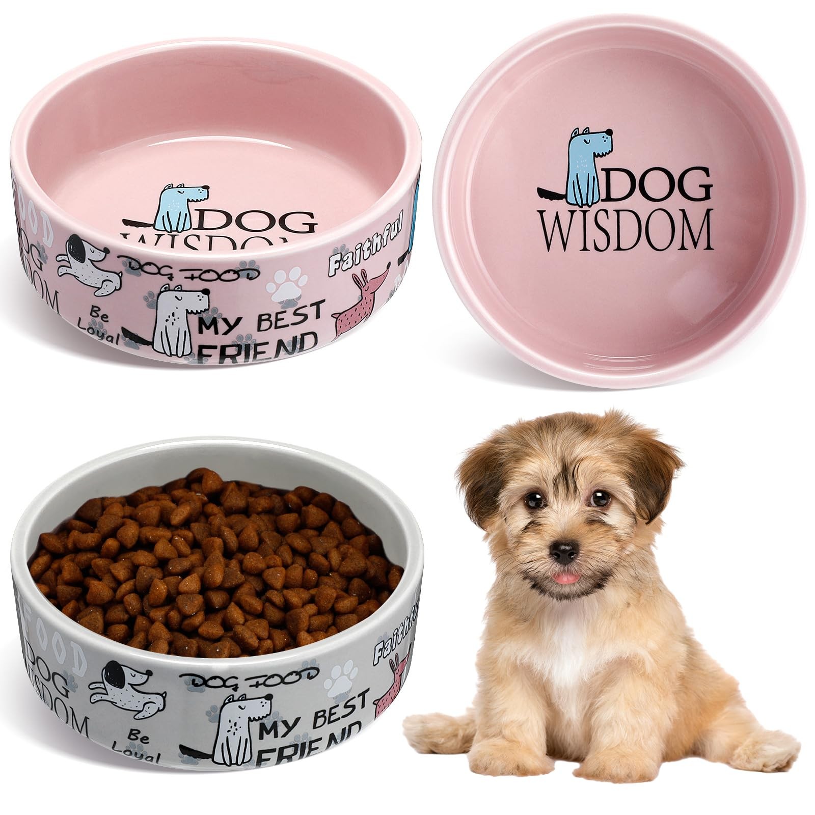 2 Pcs 5 Inch Ceramic Dog Bowls Dishes for Small Dogs Cute Cartoon Pattern Pup...