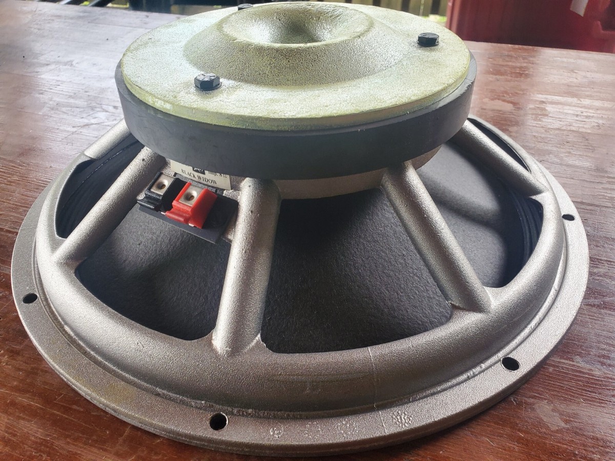 Vintage Peavey Black Widow 1505 15