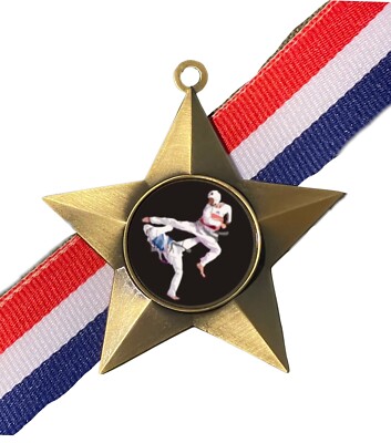 Tae Kwon Do Award personalisierte antike goldene Sternmedaille & Band