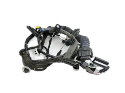 Faisceau de câbles pour Porte et Lève-vitre D Av Renault Megane III CC 10-16 - Photo 1/4