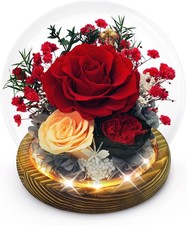 Preserved Flowers Birthday Gifts for Women Preserved Rose in Glass Dome Forever