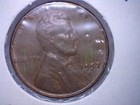 Foto 1 di 4