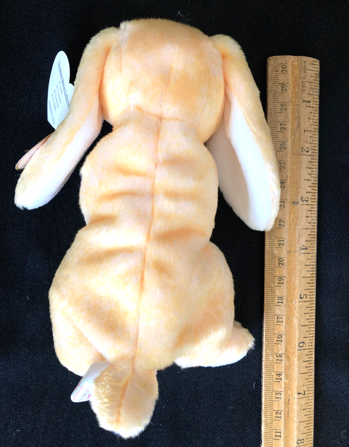 Picture 8 of 10