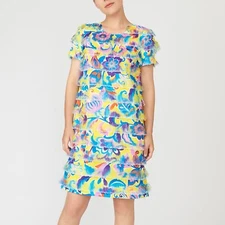 J Crew NWT $288 Floral and Fringe Vintage Inspired Shift Dress | Sz 4