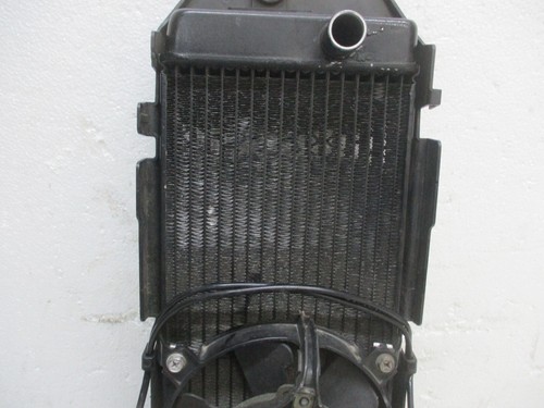 Honda VT 750 SCHATTEN 2004 KÜHLER (21701) - Bild 9 von 9