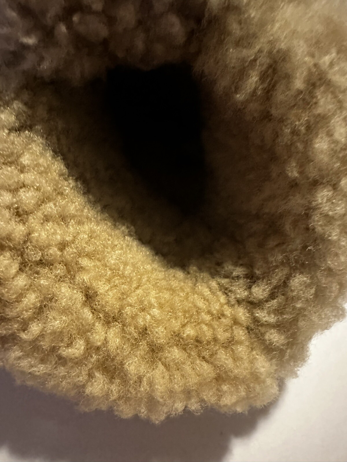 Picture 6 of 6