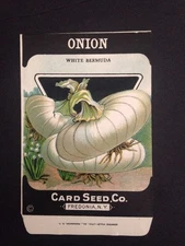 1930-40s Litho Antique Vintage Seed Packet Onion White Card Seed Co Pack Mint