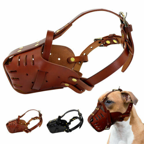 Maulkorb Für Hunde Mit Kurzer Schnauze – Atmungsaktives Mesh, Verstellbar, Für Bulldoggen, Mops & ähnliche Rassen