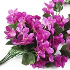 Bild 12 von 52