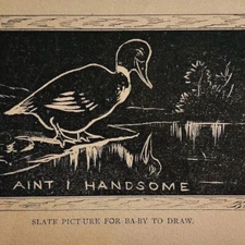 1872 Handsome Duck Humor Slate Chalkboard Pattern Victorian Art Print Antique