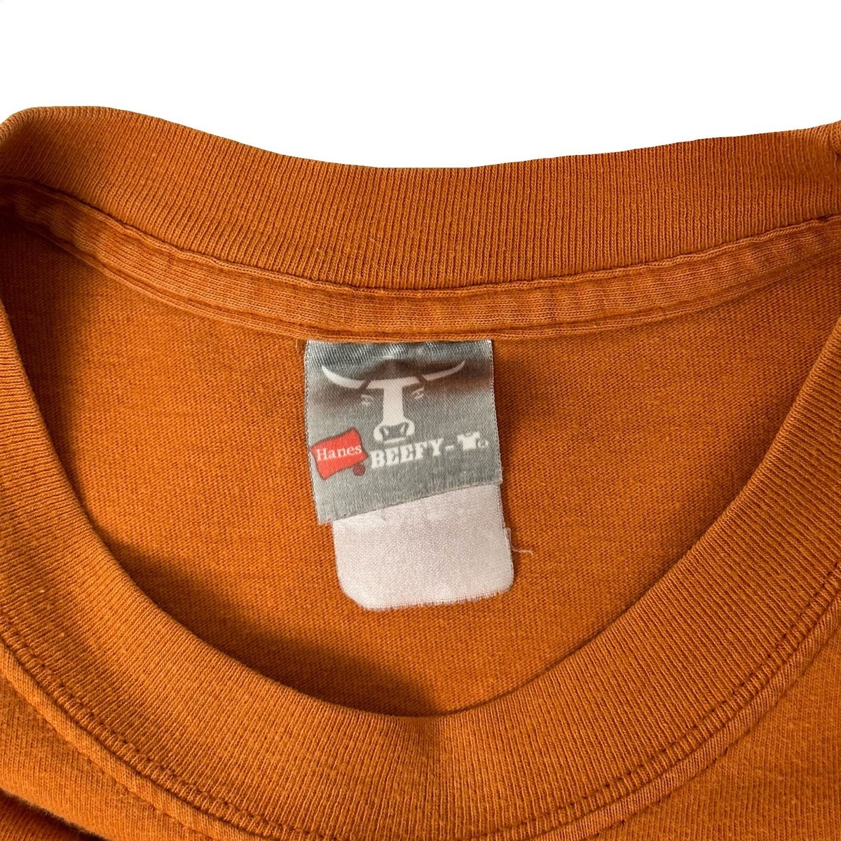 Rare Vintage Y2K Apple Center Logo Hanes Beefy-T Orange T Rare Vintage Y2K Apple Center Logo Hanes Beefy-T Orange T