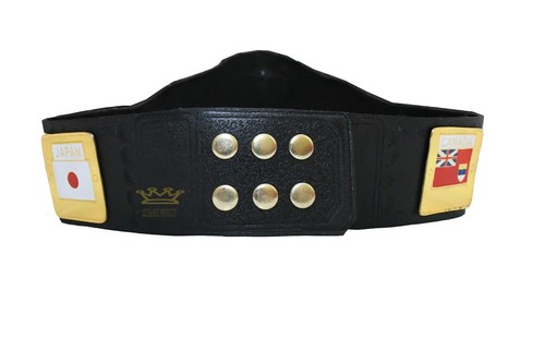 NEU NWA DOMED GLOBE WORLD SCHWERGEWICHT WRESTLING CHAMPION GÜRTEL - KINDER GRÖSSE GOLD - Bild 5 von 6