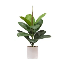 Artificial Faux Fiddle Leaf Fig Tree in Decorative Vanilla Flower Pot Indoor