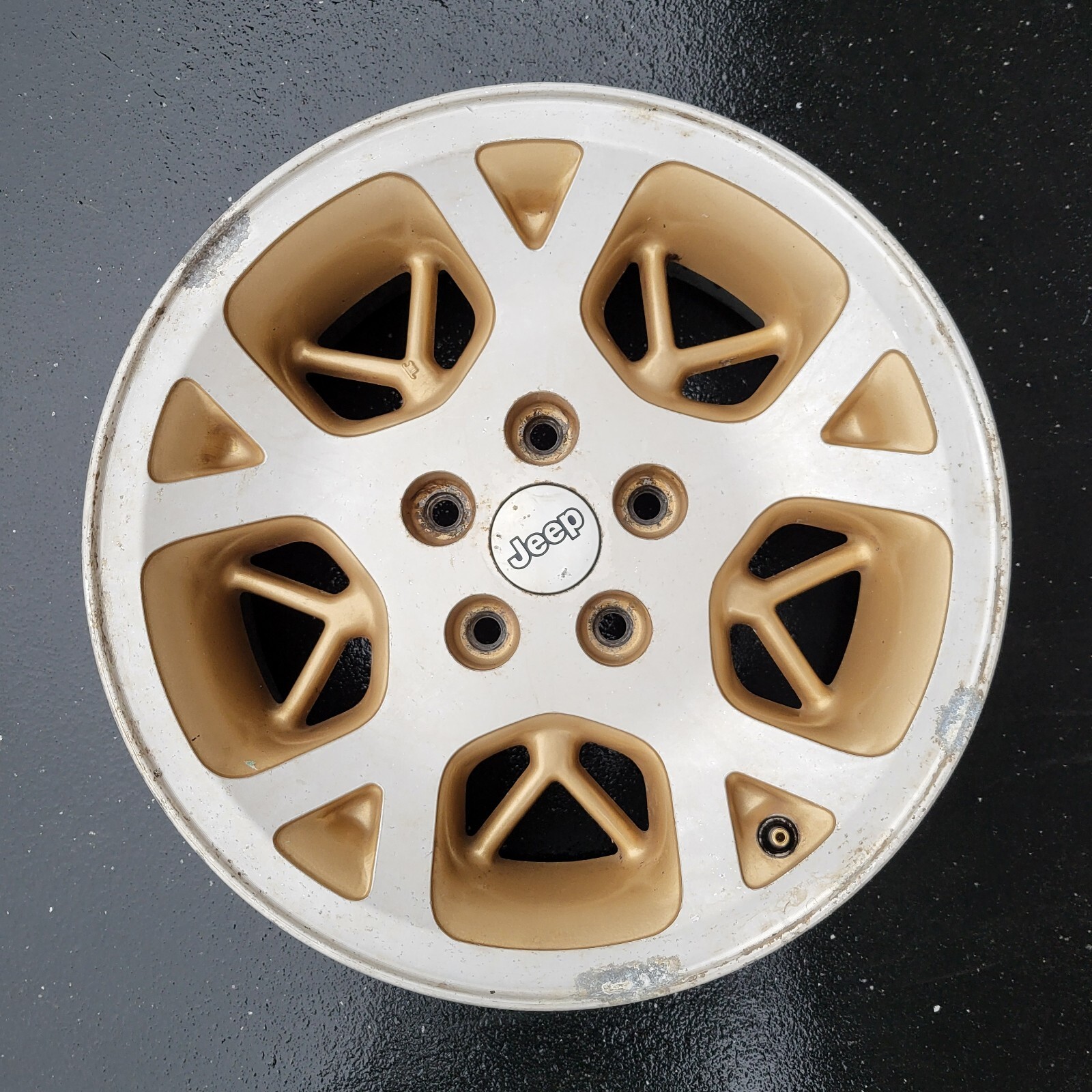 1996 - 1998 JEEP GRAND CHEROKEE 16