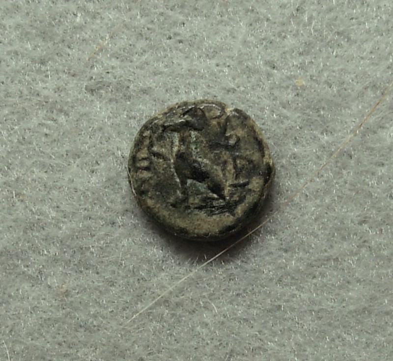 Phyrgia, Laodikeia, AE 11, 88-67 BC, Tyche / Wolf Lycos, aVF