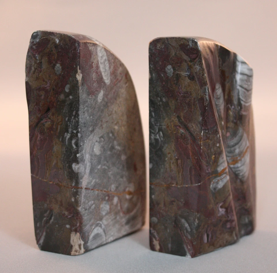 JUEGO DE SUJETALIBROS FÓSILES PULIDOS Foto 4 de 4