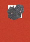 Bouvier des Flandres Blank Note Card