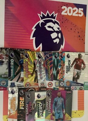 Panini Adrenalyn XL Premier League Football Base Card Set 2025 M - W #227 - 369