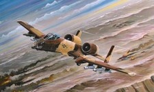 Hobby Boss 80266 A-10A Thunderbolt II in 1:72 Bausatz Neu + OVP