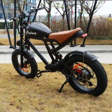 Aaiwa Electric Dirt Bike 1500W Peak 52V 30Ah Off Road Electric Moped 38Mph