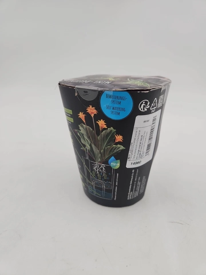 Mini Deltini Plant and Plastic Self-Watering Plant Pot Lechuza Color Red - Image 3 of 4