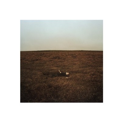 Fink The City Is Coming to Erase It All (CD) Album