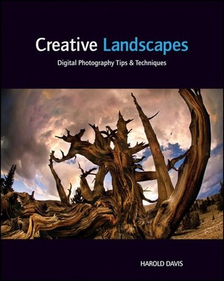 Creative Landscapes: Digital Photography Tips and Techniques - paperback Dav...