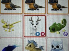 FR Arctic Rentier - Adopt Me Now! [FLY RIDE]