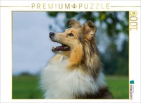 Calvendo Puzzle Sheltie - A Pretty Girl | 1000 Pieces, Finished Size 25.2 × 18.9