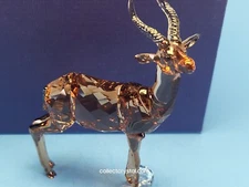 SWAROVSKI SCS Figurine 2018 Member Gazelle 5301551
