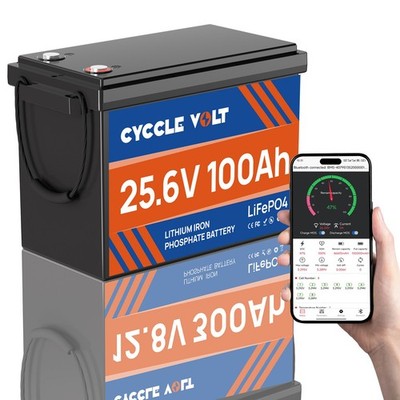 24V 100Ah Mini LiFePO4 Lithium Battery Deep Cycles with BMS for RV Solar Boat