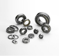 INA - Zylinderrollenlager SL045017 -D-PP-2NR