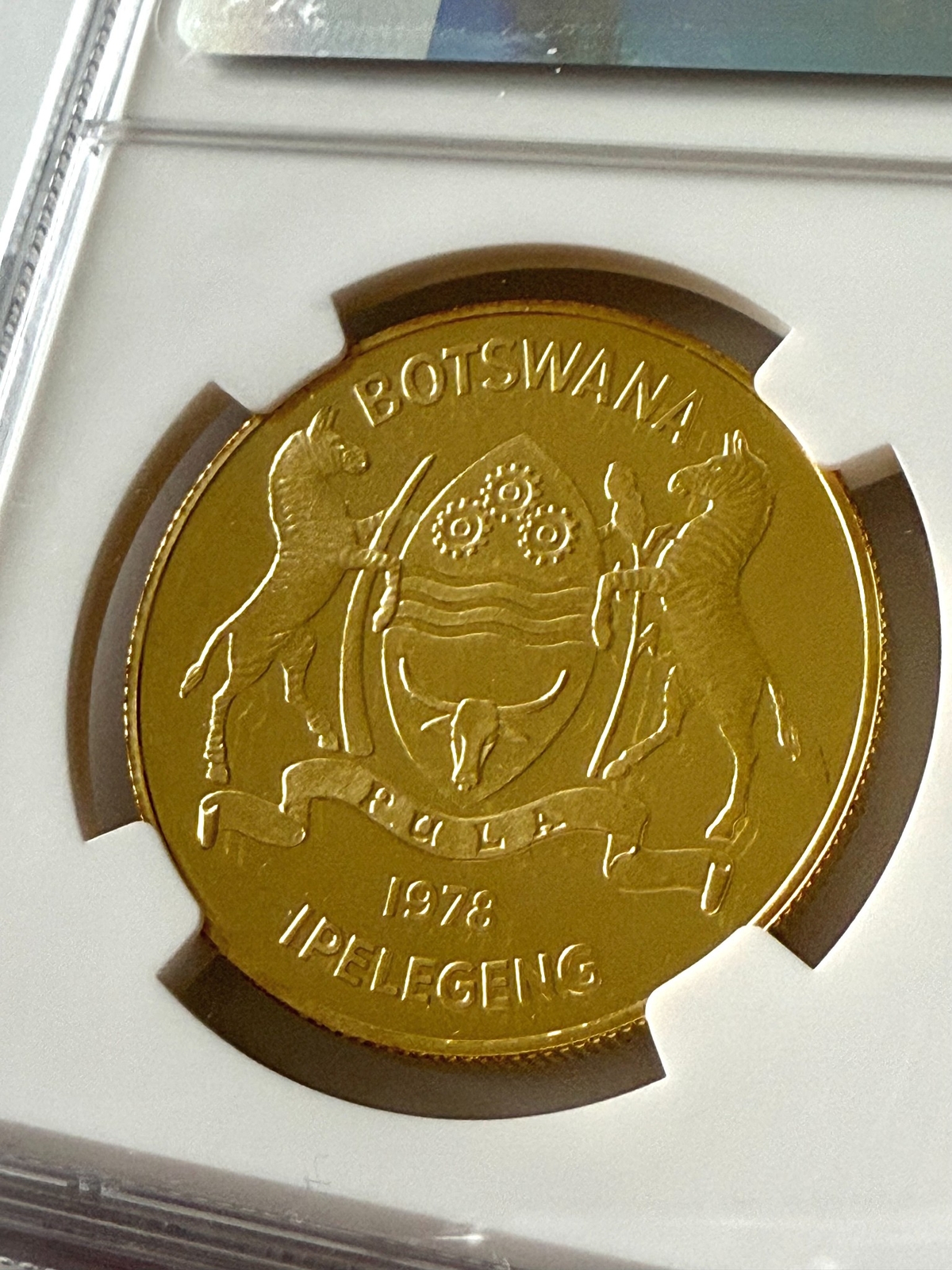 Picture 4 of 6