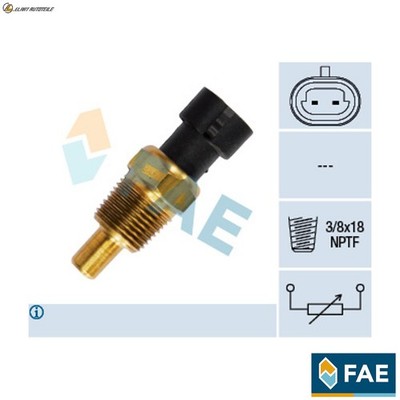 SENSOR ÖLTEMPERATUR 33340 FÜR OPEL VECTRA/GTS SIGNUM/Hatchback COMBO/Tour/Box  