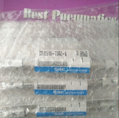 1PC New SMC CDJ2B10-75AZ-B Cylinder &ex